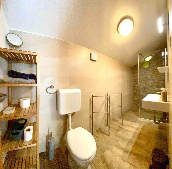 Casa Rustica Apartment Buici  ภายนอก รูปภาพ